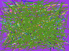 address look up