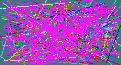locating people by dob